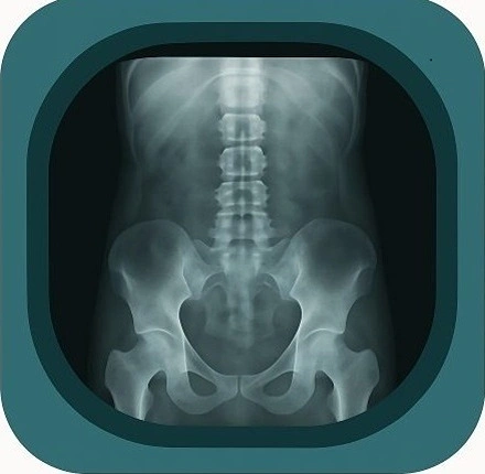 x ray abdomen anatomy icon-1771230593